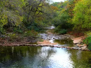 Zinc Swinging Bridge