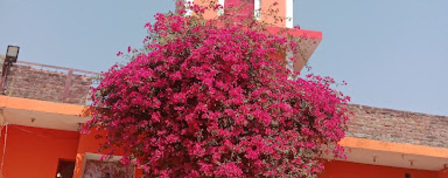 Shiv Mandir Mehmoodpur Maafi