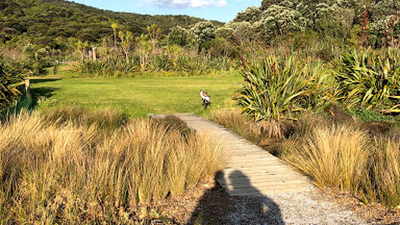 Waiheke Island