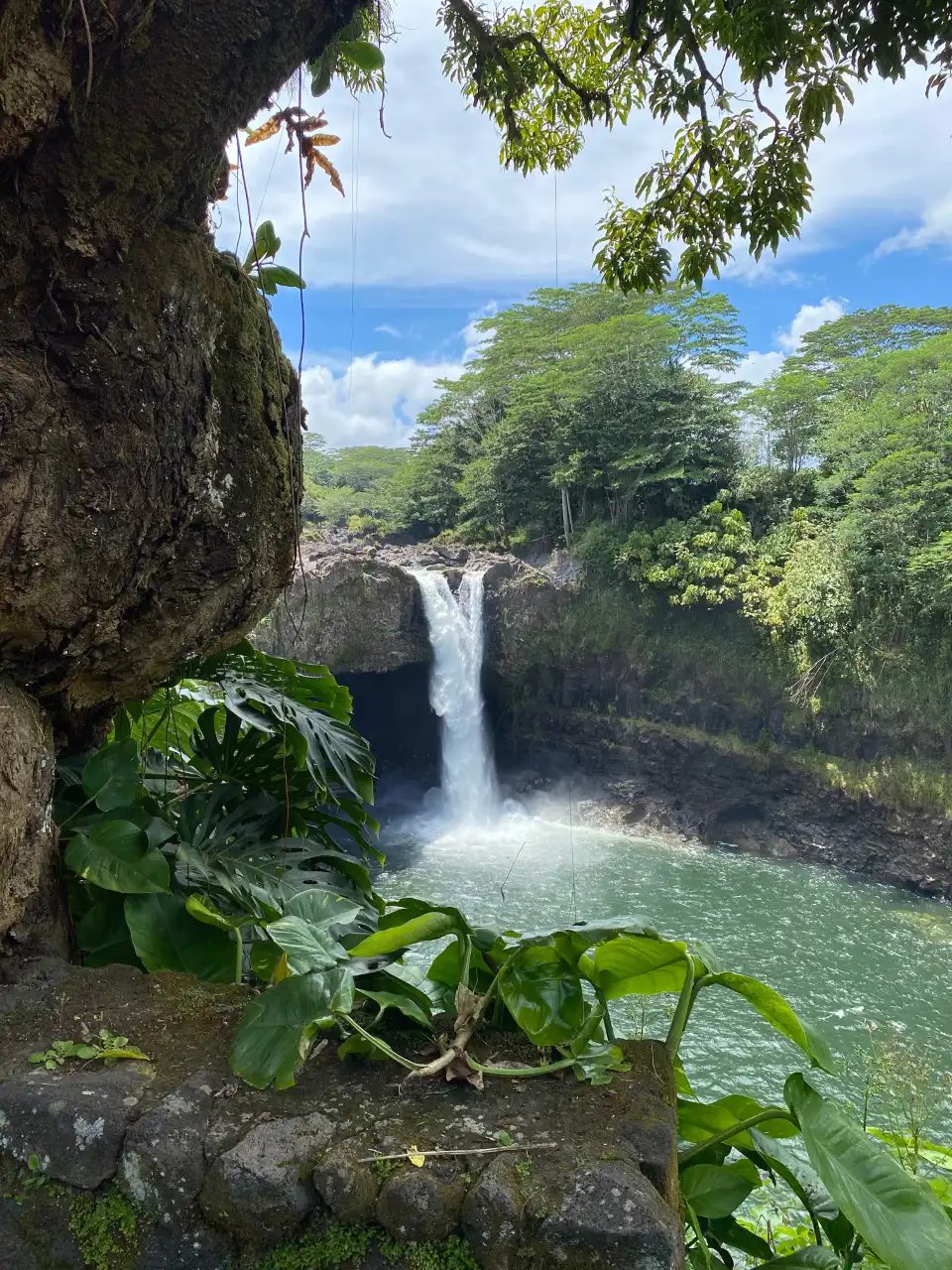 3_Rainbow Falls