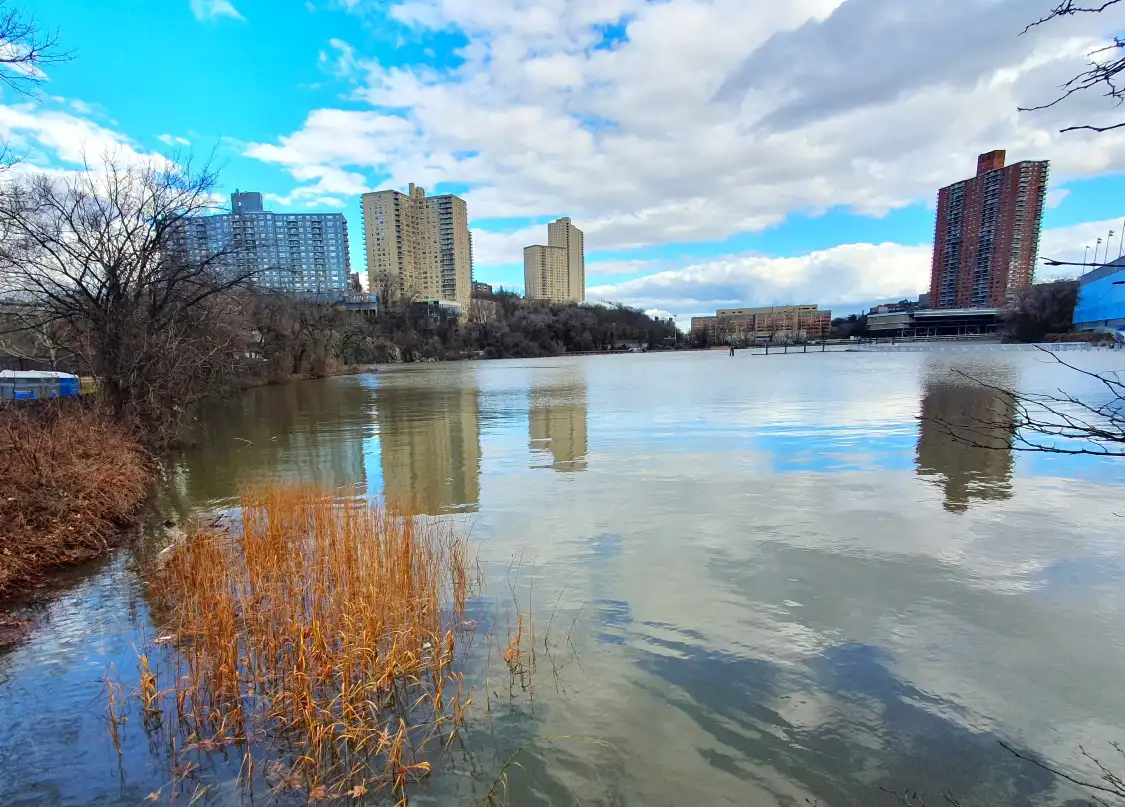 인우드 힐 공원 주변 호텔