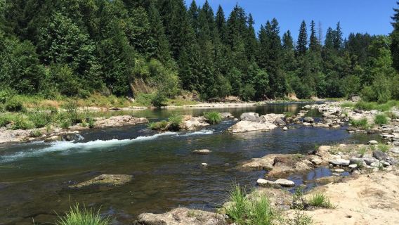Milo McIver State Park