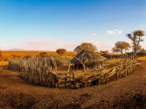 Mago National Park