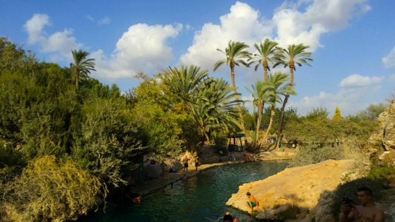 Gan HaShlosha National Park
