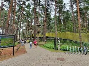 Dzintari Forest Park