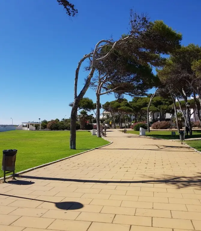 Conil De La Frontera