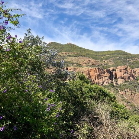 Santa Monica Mountains National Recreation Area