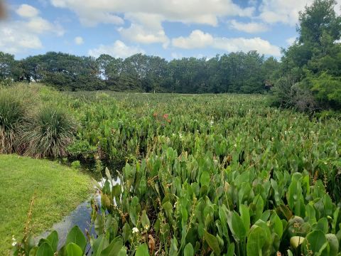 Green Cay Nature Center & Wetlands