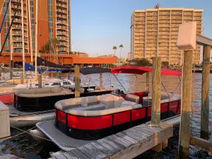 Frisky Mermaid Dolphin Cruises & Pontoon Boat Rentals