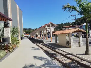 Professor Miguel Pereira Station