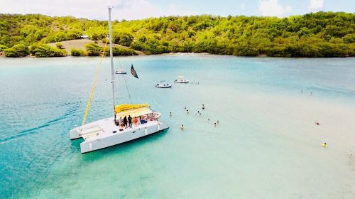 Catamaran Bwa Drésé Martinique