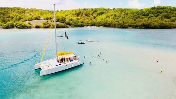 Catamaran Bwa Drese Martinique