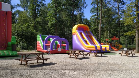 DinoDragon park