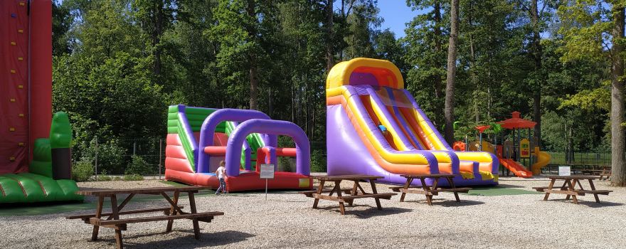DinoDragon park