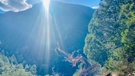 Ramsey Canyon Preserve