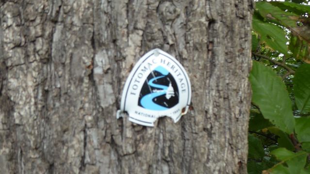 Elizabeth Mills Riverfront Park