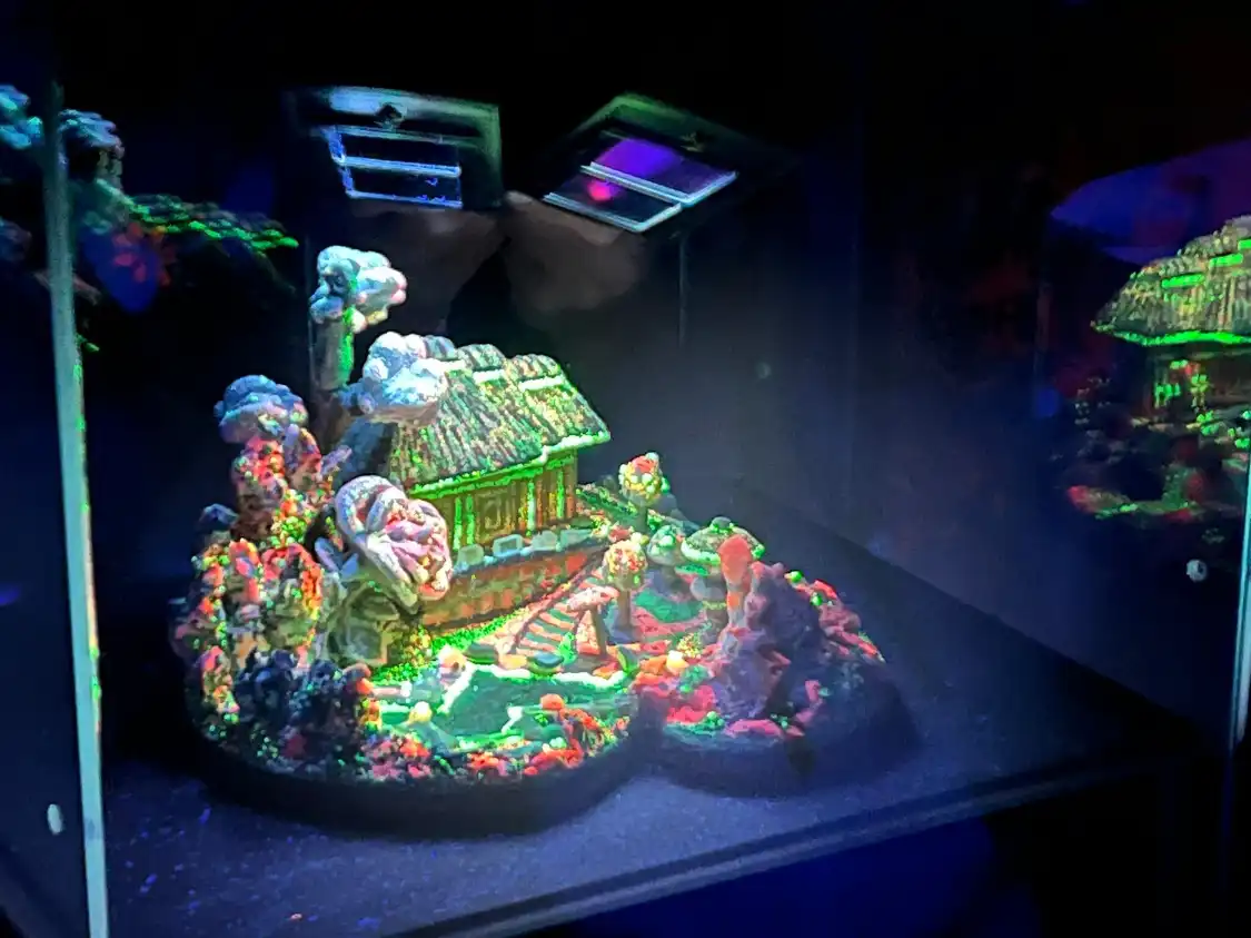 Hotels near Electric Ladyland - Museum of Fluorescent Art