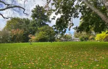 Carl S. English Jr. Botanical Garden