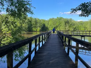 Cypress Grove Nature Park