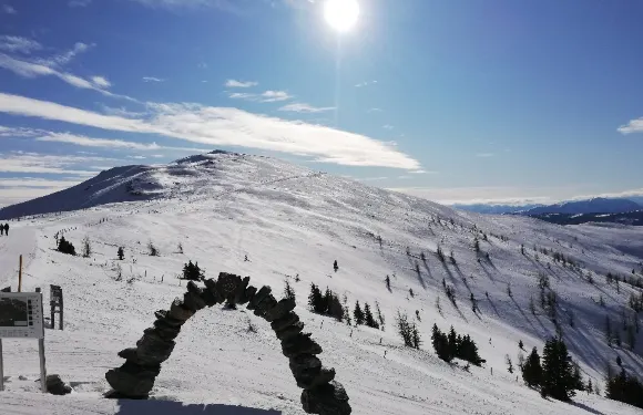 巴德小基希海姆