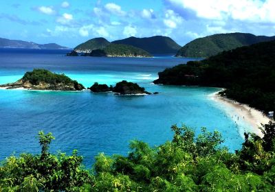 Trunk Bay