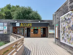 Ornithological Reserve of Teich