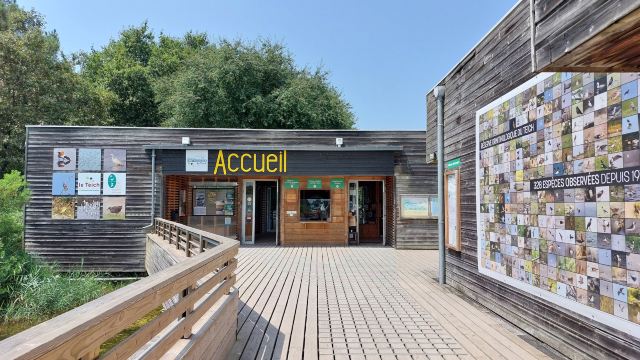 Ornithological Reserve of Teich