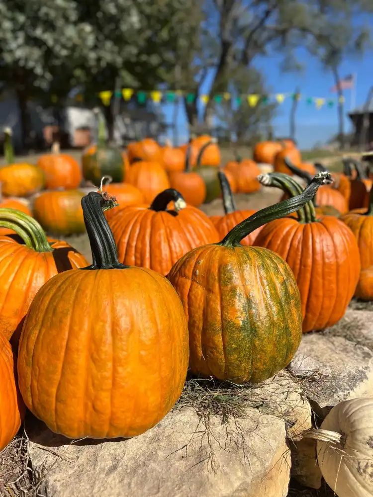 Hotels in Platte County