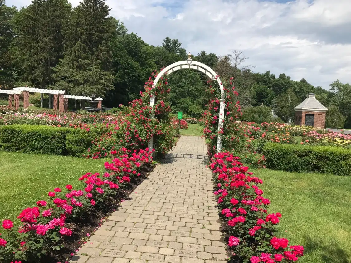 Hotels near Central Park Rose Garden