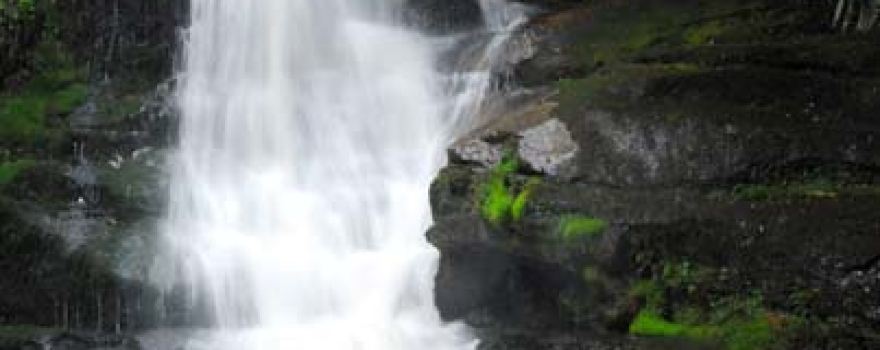 Cuckoo Falls Track