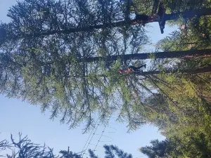 Larix Park