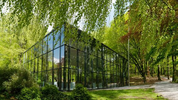 Skulpturenpark Waldfrieden