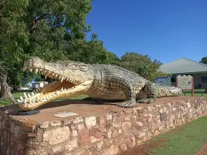 The Big Crocodile Krys
