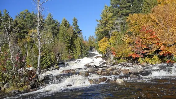 Oxtongue River - Ragged Falls Provincial Park
