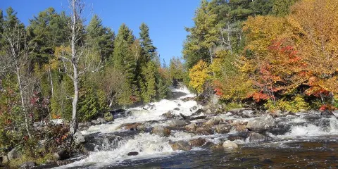 Oxtongue River-Ragged Falls Provincial Park