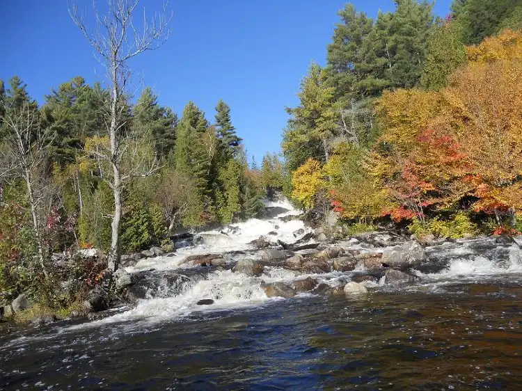 Hotels in Algonquin Highlands