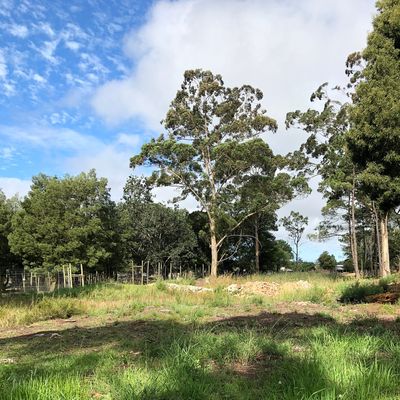 Garden Route Wolf Sanctuary