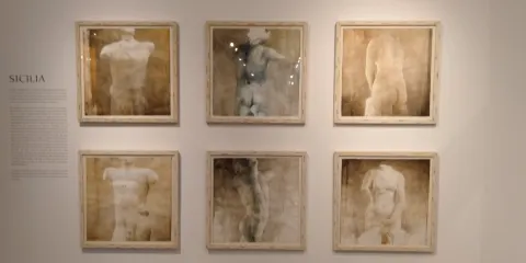 Fundacion Pedro Cano