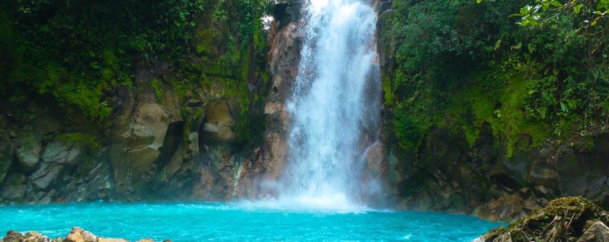 Pura Vida Expeditions