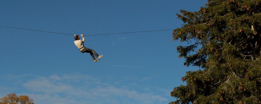 Forest Jump