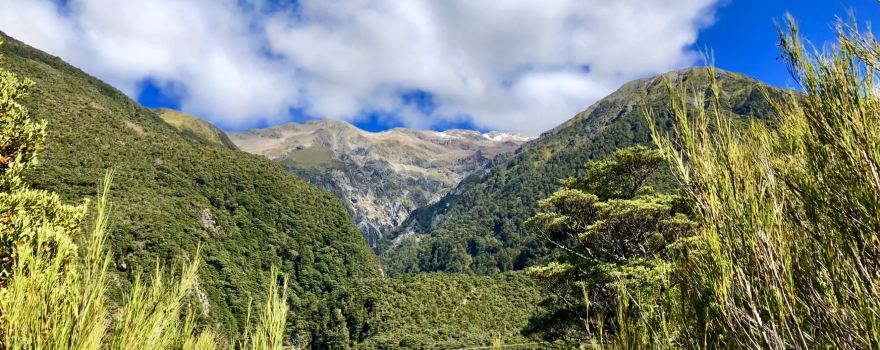 Arthur's Pass