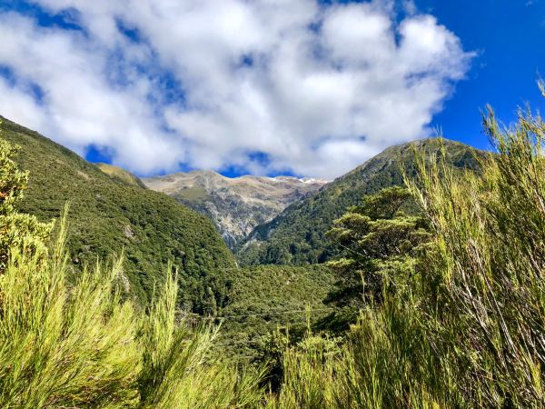 Arthur's Pass