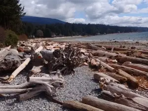 Roberts Creek Pier