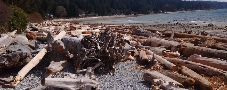 Roberts Creek Pier