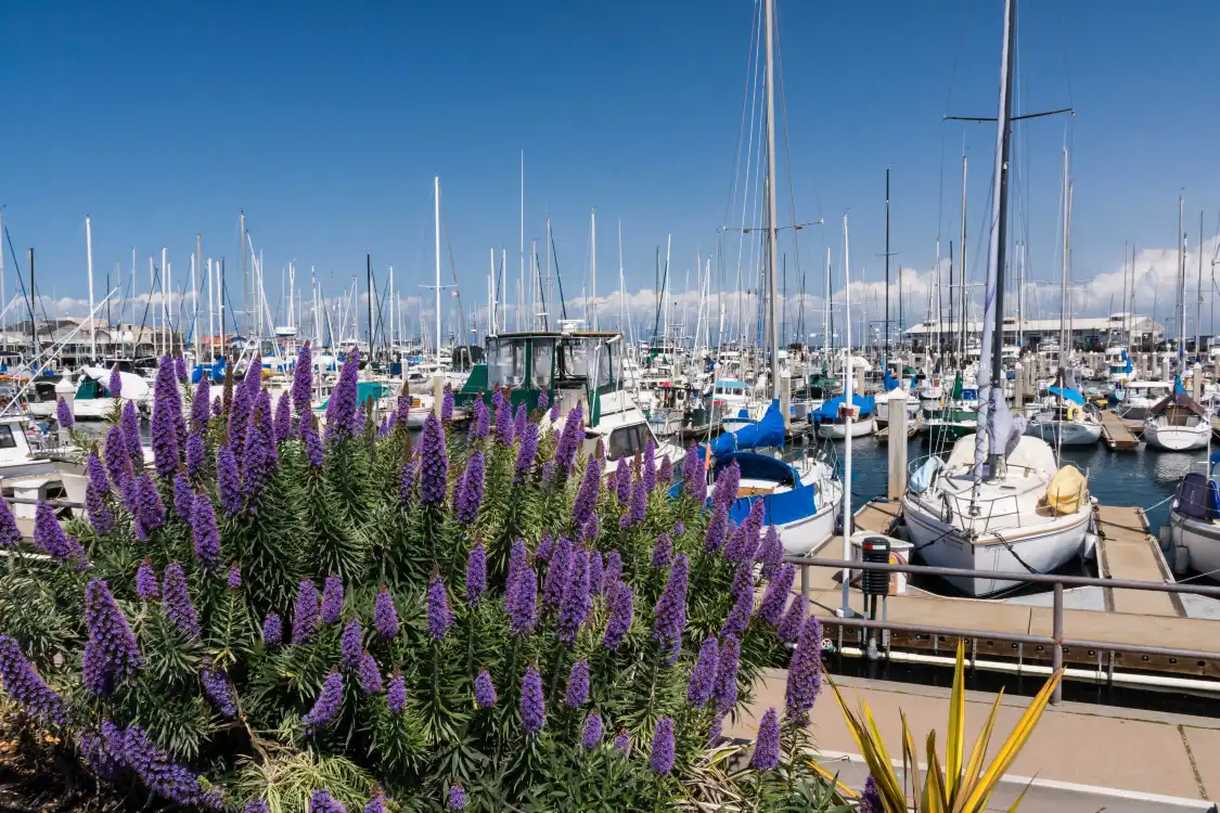 Hotels near Municipal Wharf 2