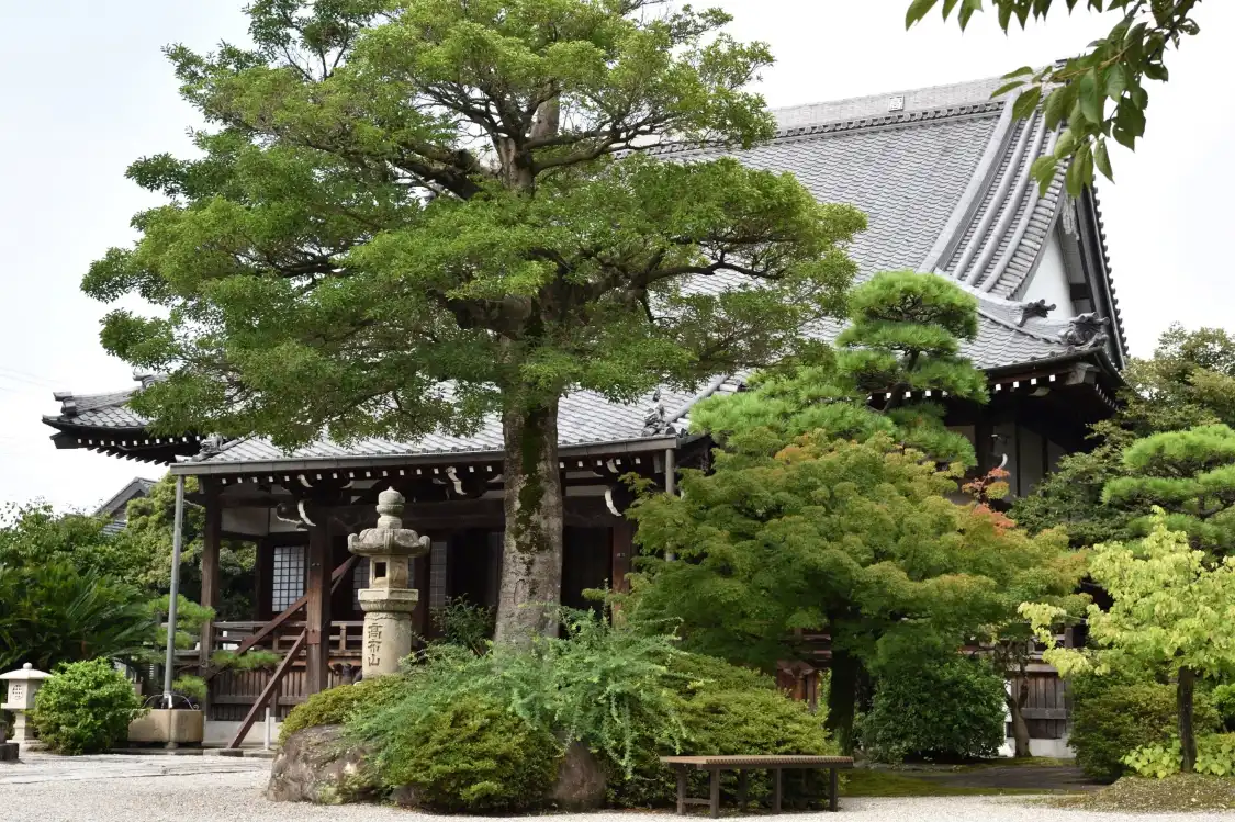 Hotels near Konsho-ji Temple