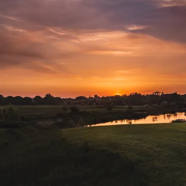 Southfield Farm Marsh