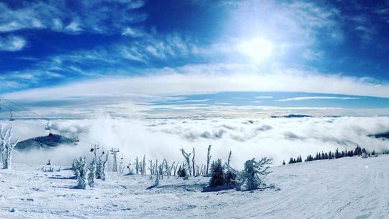 Baldy Mountain Resort