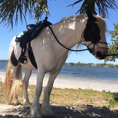 Cponies Beach Horseback Rides