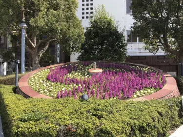 花時計
